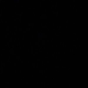 Meet your Posher, Sofia